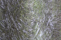 Rainow fibreglass roof work